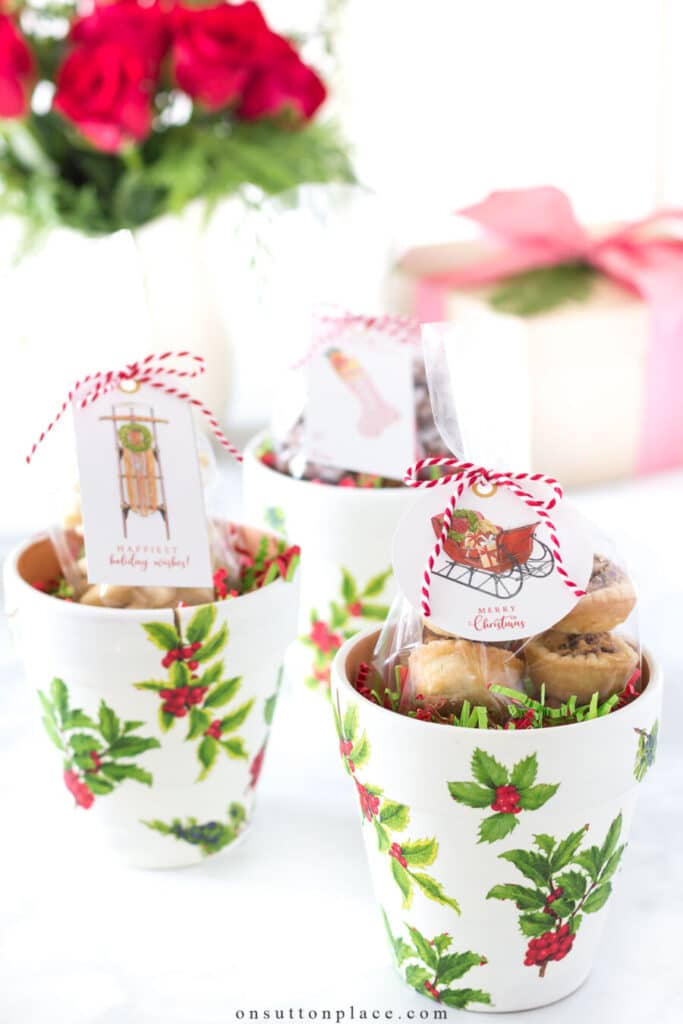 holly pots with cookies in them