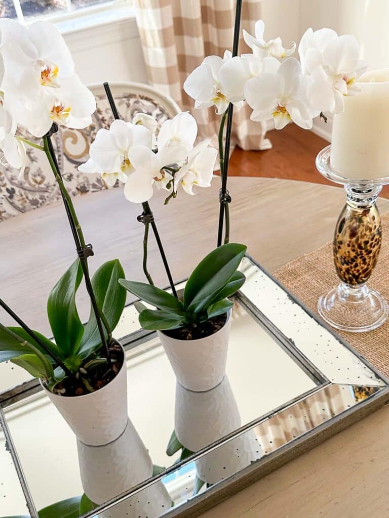 WINTER decorating-orchid centerpiece