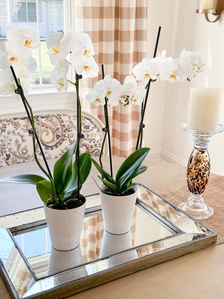 WINTER CHANGES 2024-orchid centerpiece