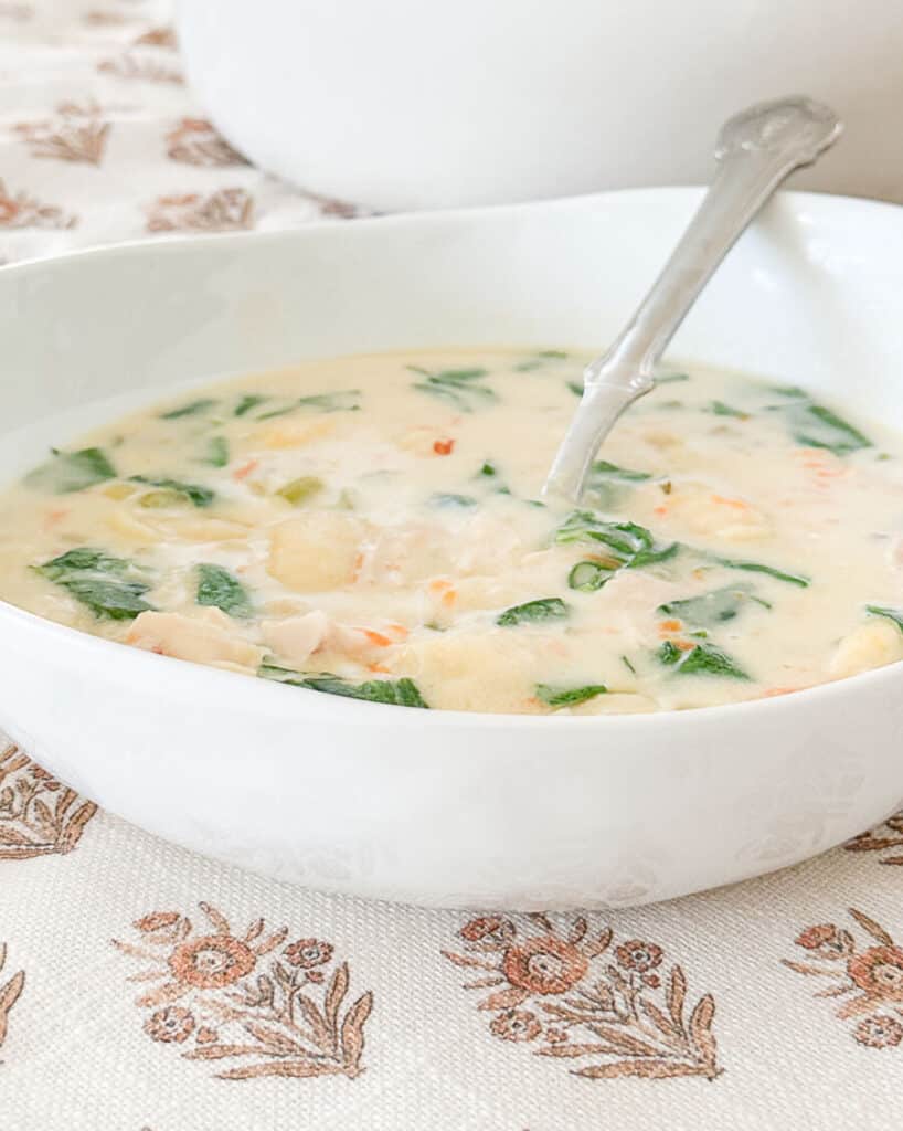 CHICKEN GNOCCHI RECIPE- soup in a white bowl