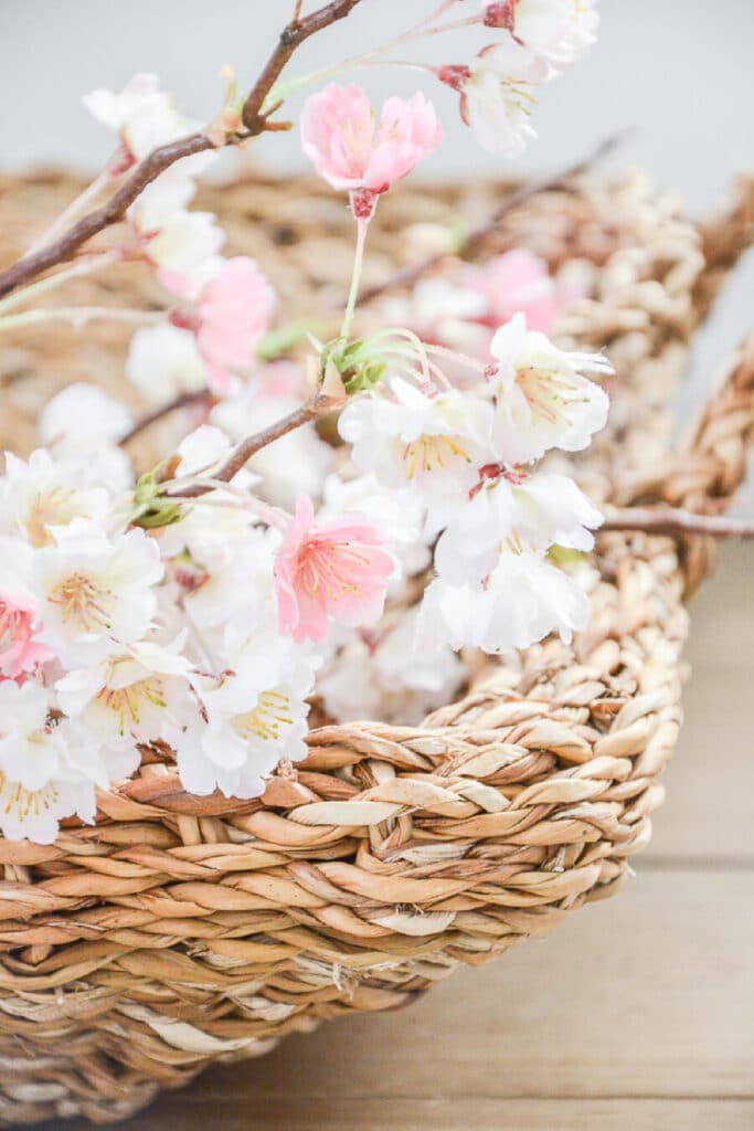 cherry blossoms in a basket tray