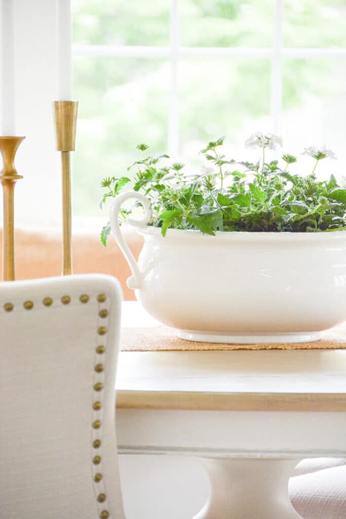 HOME LOVE- WHITE PLANTER ON THE DINING ROOM TABLE WITH WHITE PERENNIALS