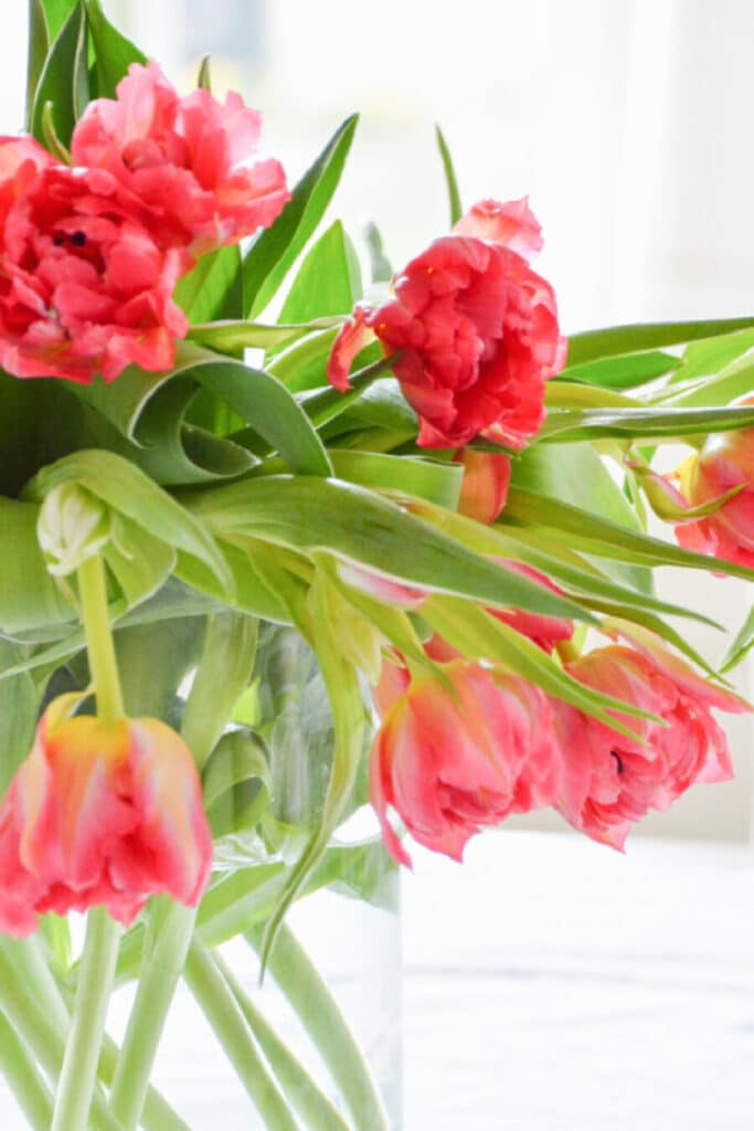pink tulips- spring centerpiece