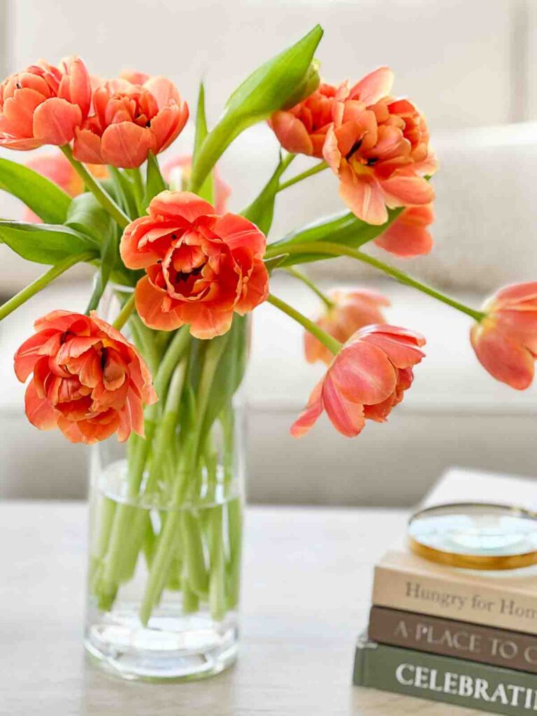 TULIPS: orange tulps on a coffee table