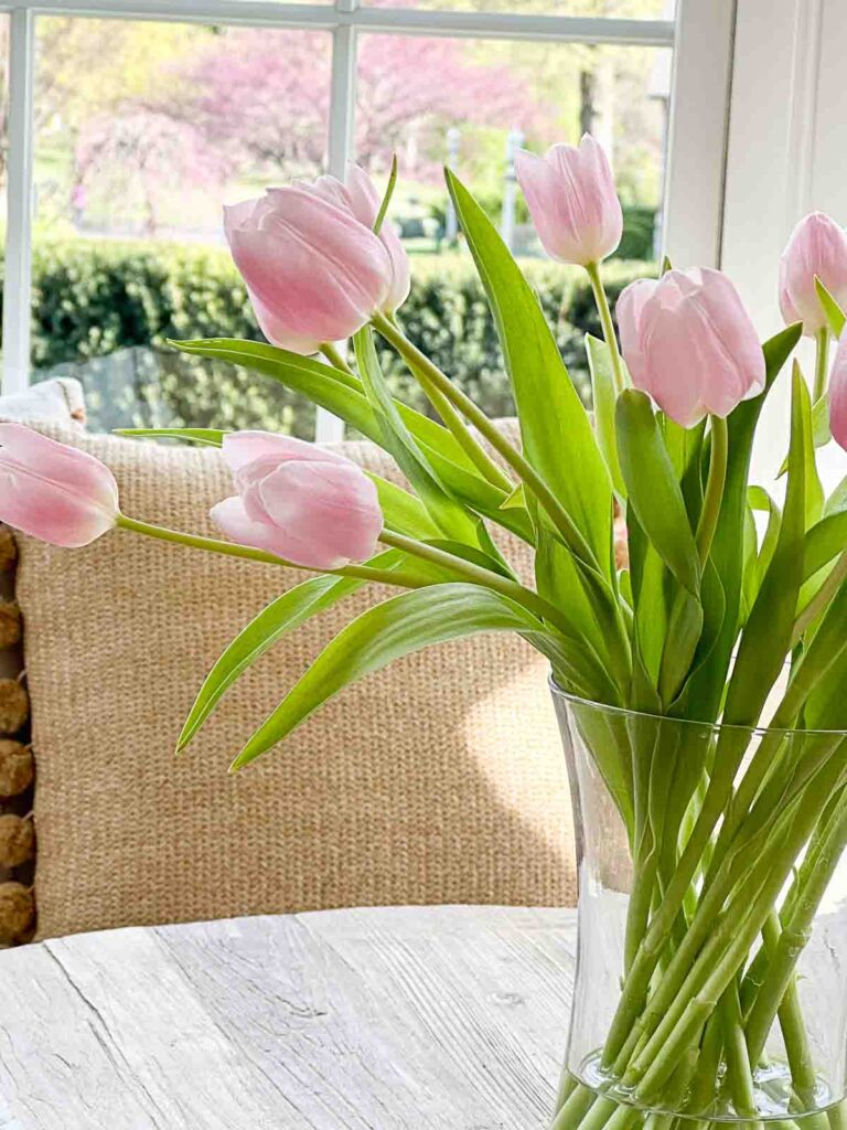 TULIPS: pink tulips in a vase with water