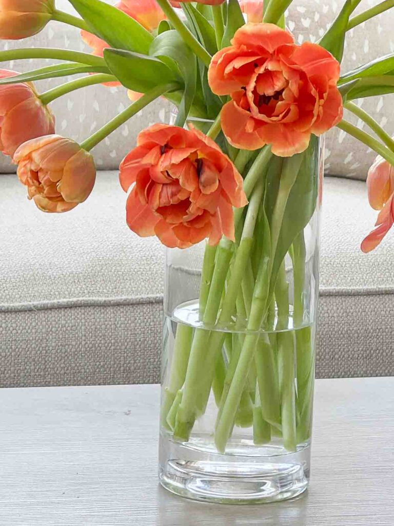 TULIPS: water in a clear vase