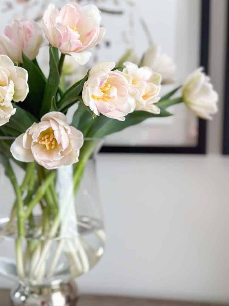 TULIPS: white double tulips in a glass ludinton vase