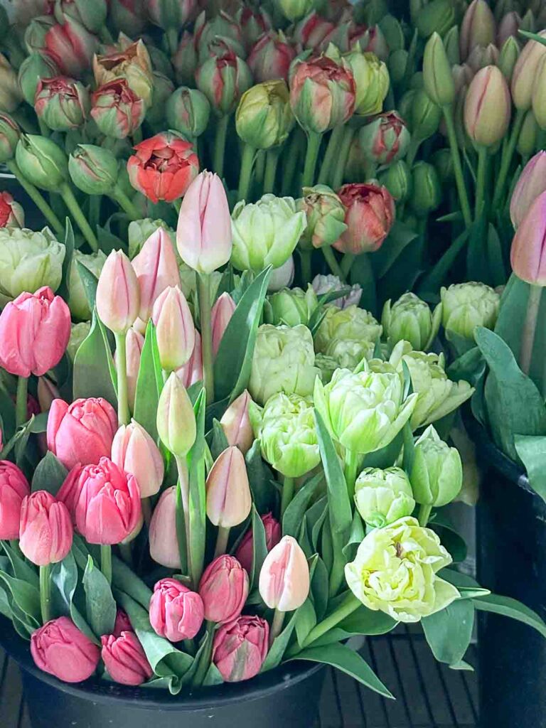 container of pink and white tulips