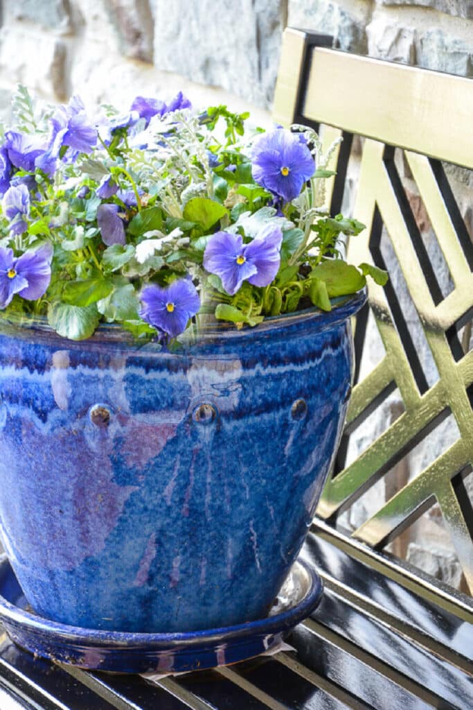 a blue container with purple pansies planted in it sitting on a black bench