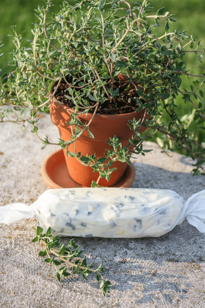 log of herb compound butter on a bench with a pot of thyme