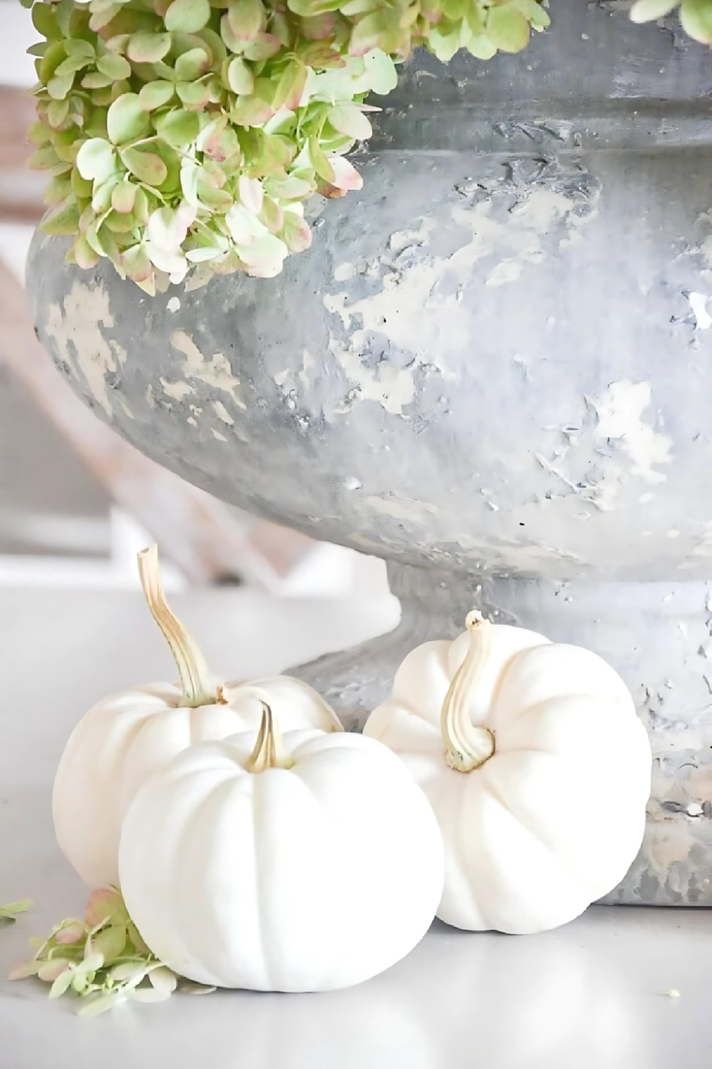 8 Fabulous Natural Fall Decor For Your Home - StoneGable